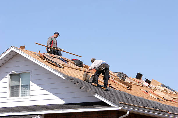 Steel Roofing in Honaker, VA